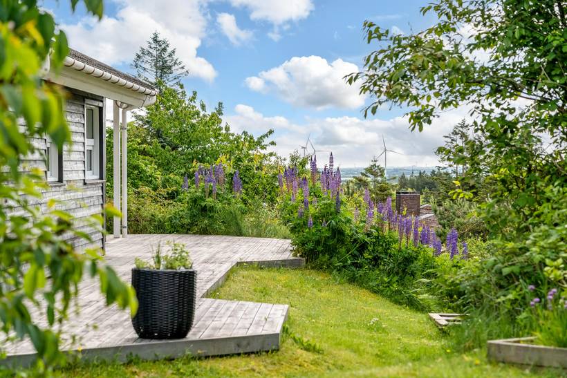 Foto von Ferienhaus DB59 in Tranum - Slettestrand - Nordjütland