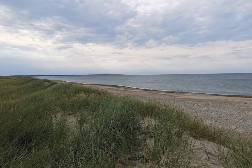 Foto von Ferienhaus DB60 in Vorupør - Thy/Limfjord