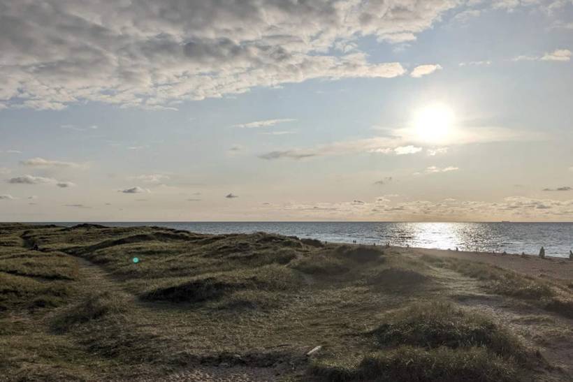 Foto von Ferienhaus DB60 in Vorupør - Thy/Limfjord