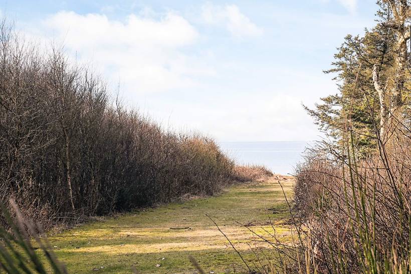 Foto von Ferienhaus DB62 in Ålbæk - Thy/Limfjord