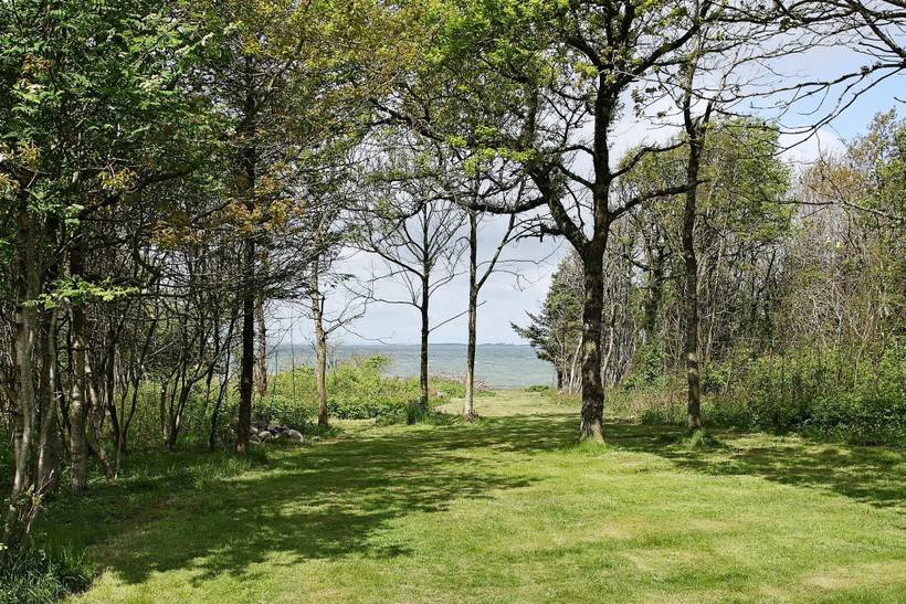 Foto von Ferienhaus DB62 in Ålbæk - Thy/Limfjord