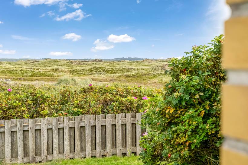 Foto von Ferienhaus DB90 in Lild - Thy/Limfjord