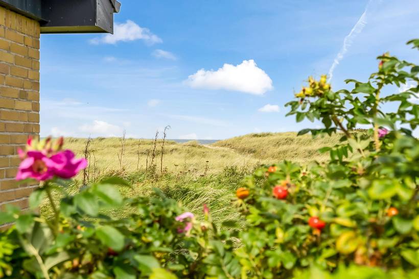 Foto von Ferienhaus DB90 in Lild - Thy/Limfjord