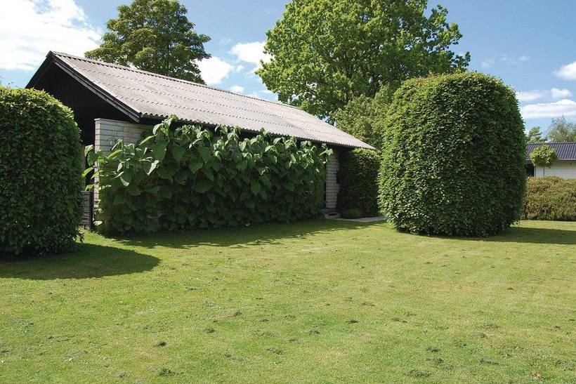 Foto von Ferienhaus DB91 in Loddenhøj - Südjütland