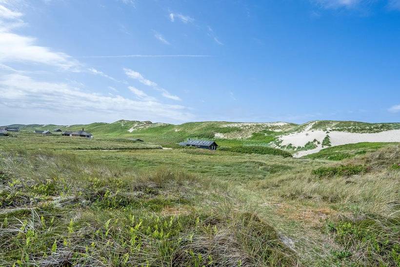 Foto von Ferienhaus DC99 in Årgab - Westjütland