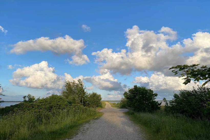 Foto von Ferienhaus DD05 in Henne Strand - Westjütland