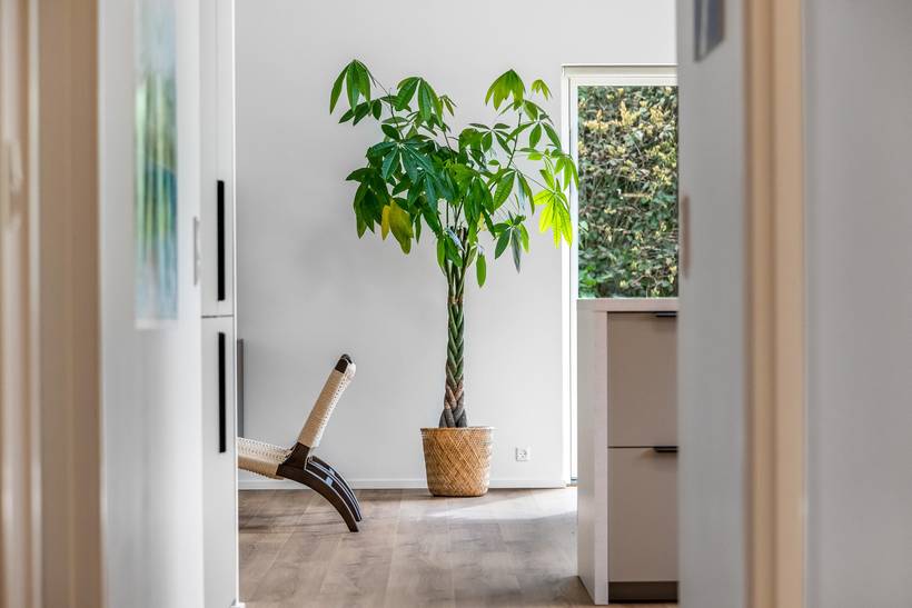 Foto von Ferienhaus DD47 in Ebeltoft - Ostjütland