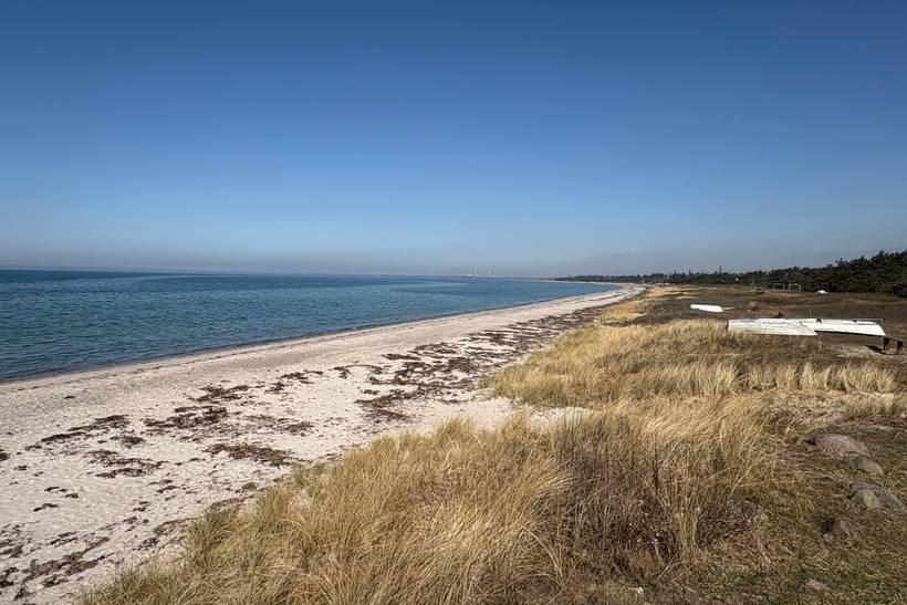 Foto von Ferienhaus DD50 in Bjerge - Westseeland