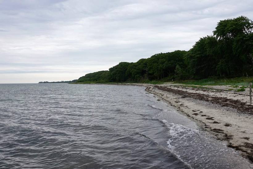 Foto von Ferienhaus DD58 in Lohals - Langeland