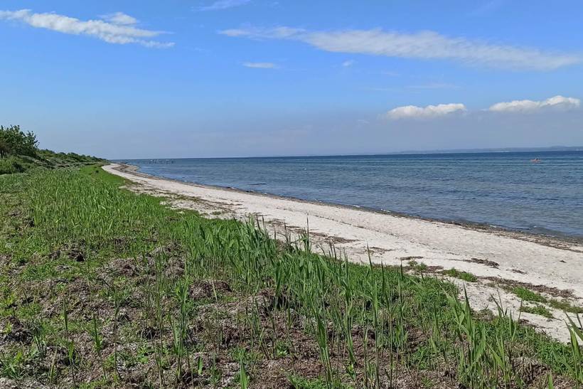 Foto von Ferienhaus DD58 in Lohals - Langeland