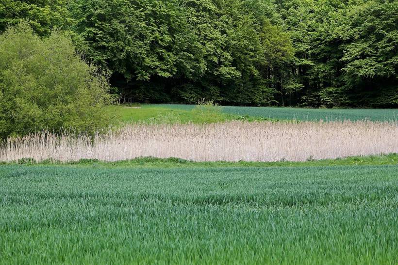 Foto von Ferienhaus DD58 in Lohals - Langeland