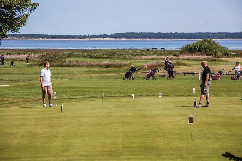 Foto von Ferienhaus DD95 in Blåvand - Westjütland