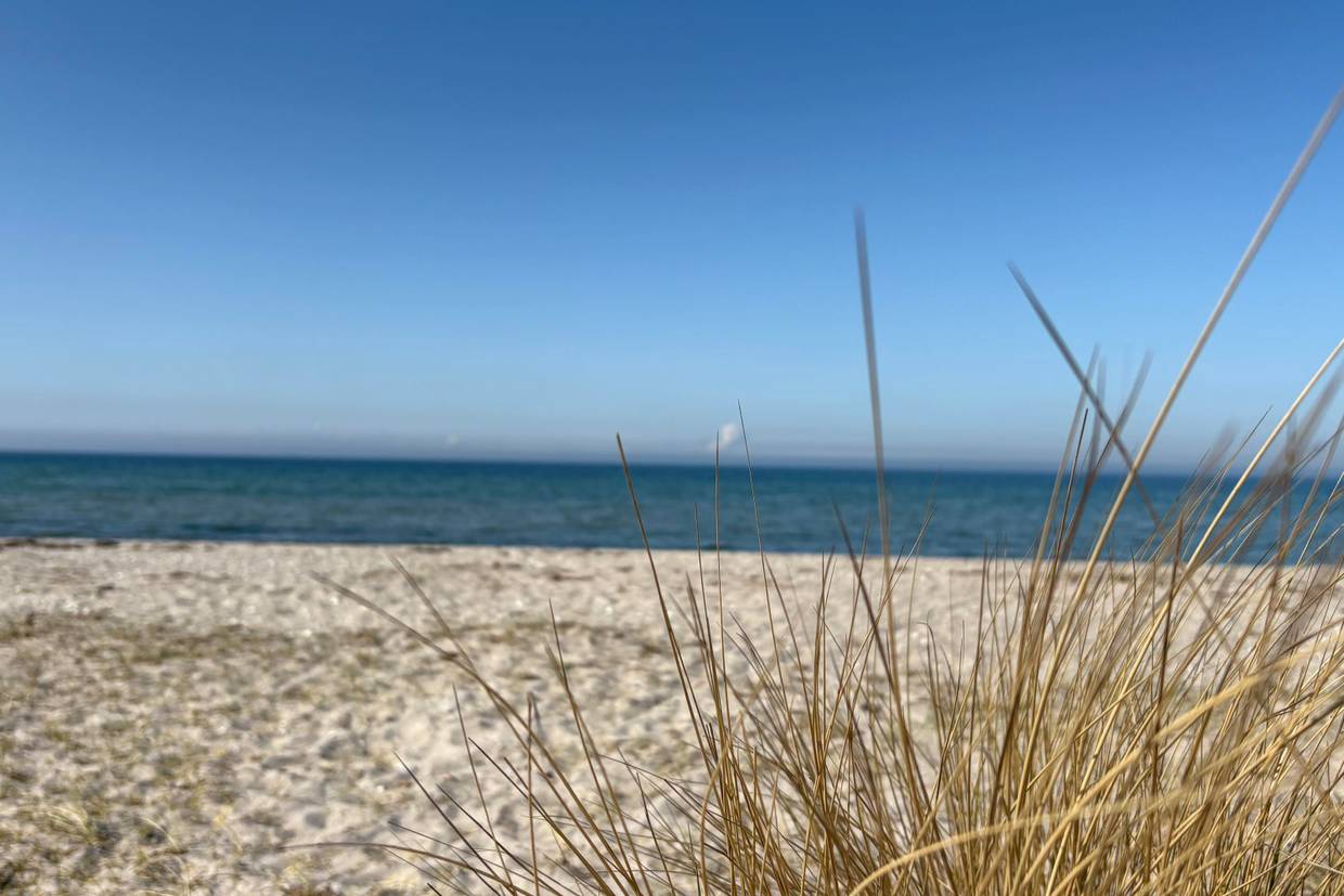 Foto von Ferienhaus DE10 in Bjerge - Westseeland