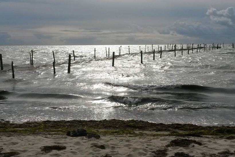 Foto von Ferienhaus DE24 auf Langø - Lolland