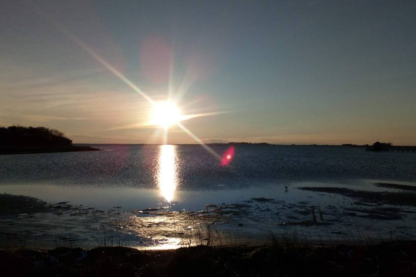 Foto von Ferienhaus DE24 auf Langø - Lolland