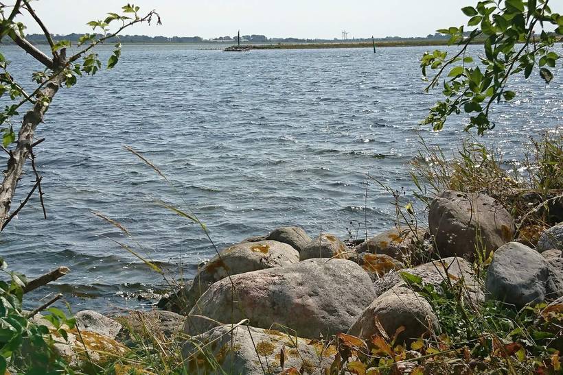 Foto von Ferienhaus DE24 auf Langø - Lolland