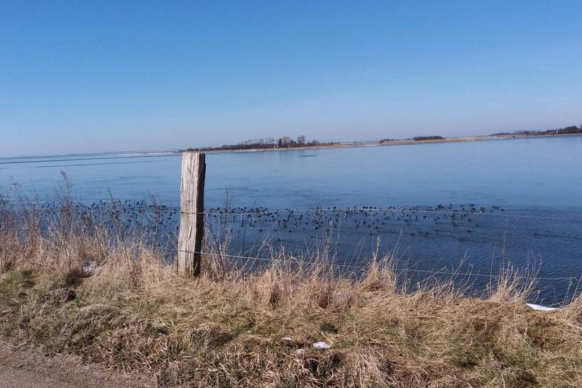 Foto von Ferienhaus DE24 auf Langø - Lolland