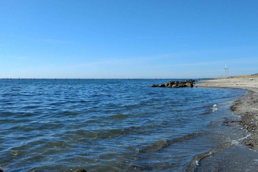 Foto von Ferienhaus DE24 auf Langø - Lolland