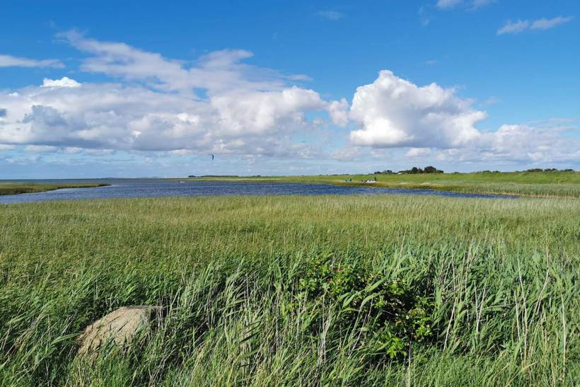 Foto von Ferienhaus DE24 auf Langø - Lolland
