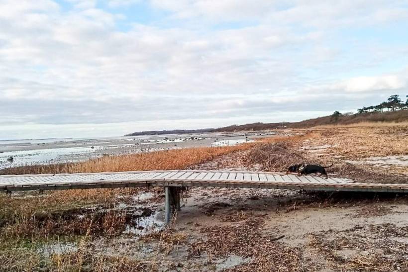 Foto von Ferienhaus DE54 auf Skibby - Nordseeland