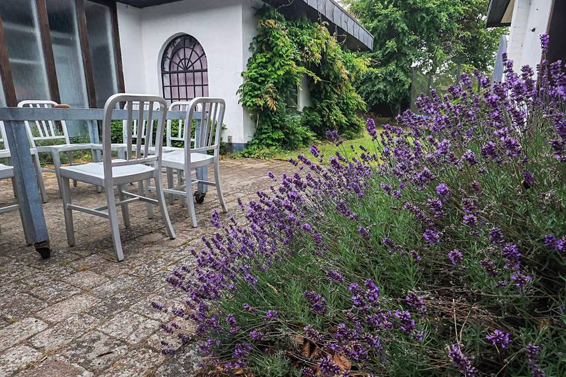 Foto von Ferienhaus DE60 in Marielyst - Falster