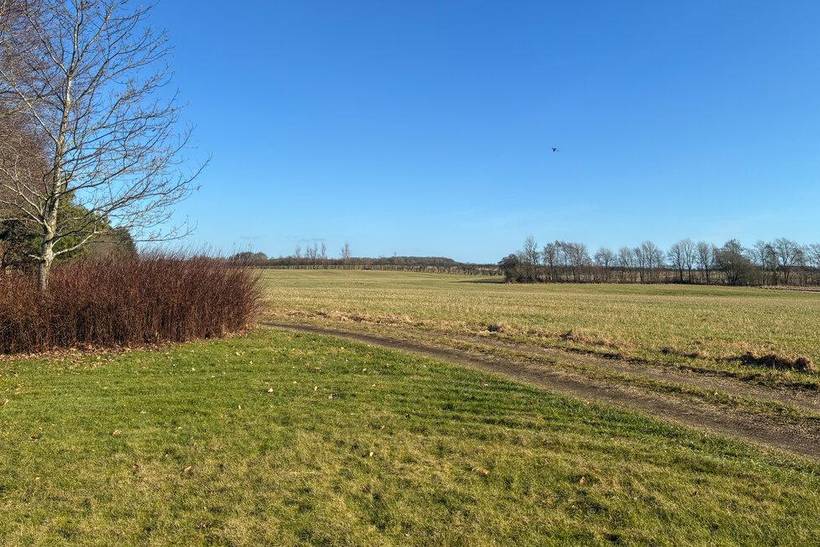 Foto von Ferienhaus DE94 in Ribe - Südjütland
