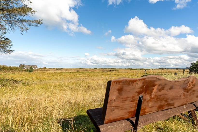 Foto von Ferienhaus DE98 in Thorup - Nordjütland