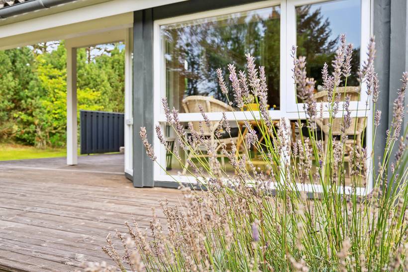 Foto von Ferienhaus DF25 in Blokhus - Nordjütland