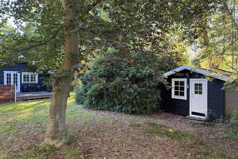 Foto von Ferienhaus DF36 in Strandsiden - Rørvig - Westseeland