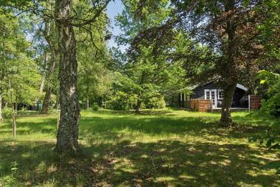 Vorschaubild von Ferienhaus DF36 in Strandsiden - Rørvig - Westseeland