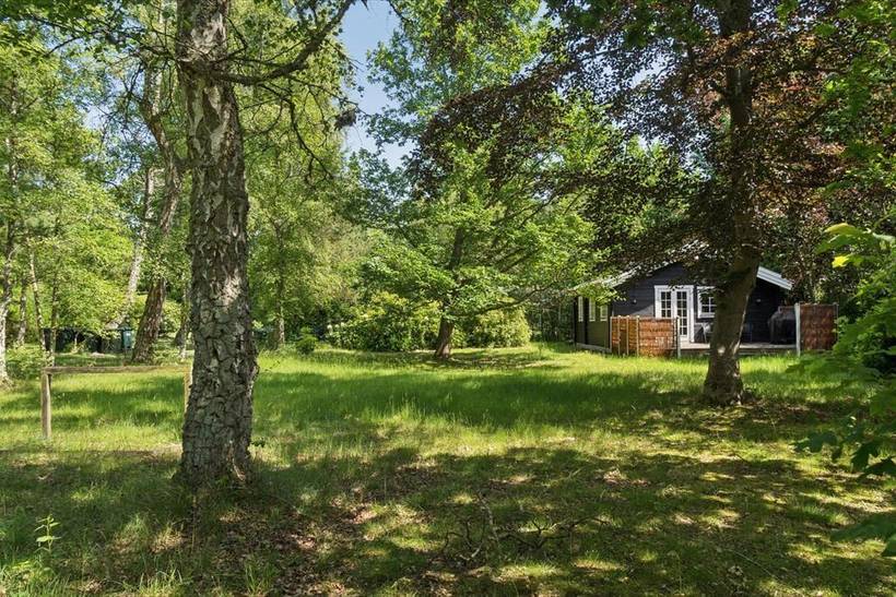 Foto von Ferienhaus DF36 in Strandsiden - Rørvig - Westseeland