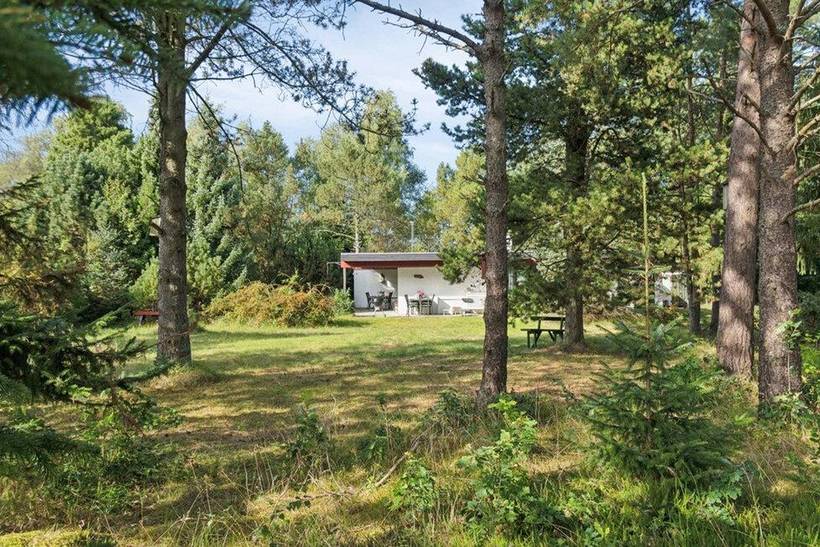 Foto von Ferienhaus DF60 in Sejerø Bugt - Westseeland