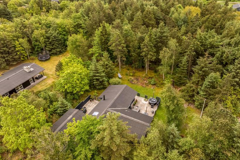 Foto von Ferienhaus DF86 in Saltum - Blokhus - Nordjütland