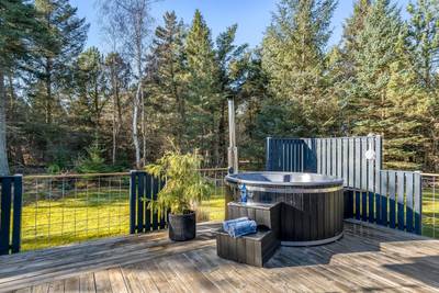 Vorschaubild von Ferienhaus DF86 in Saltum - Blokhus - Nordjütland