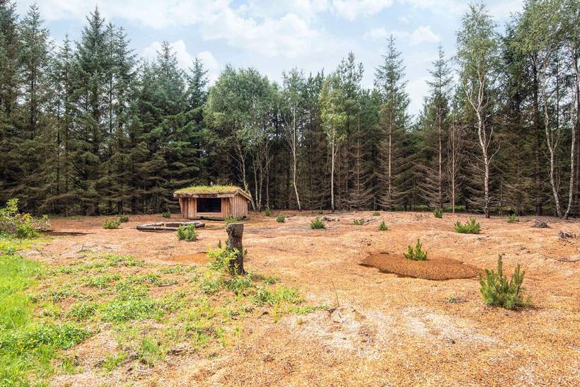 Foto von Ferienhaus DF89 in Houstrup - Westjütland