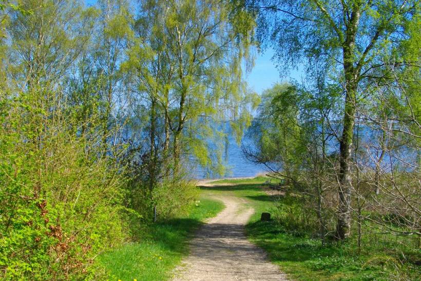 Foto von Ferienhaus DF96 in Astrup Vig - Thy/Limfjord