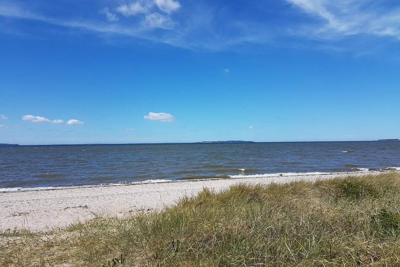Foto von Ferienhaus DF97 in Trend - Thy/Limfjord