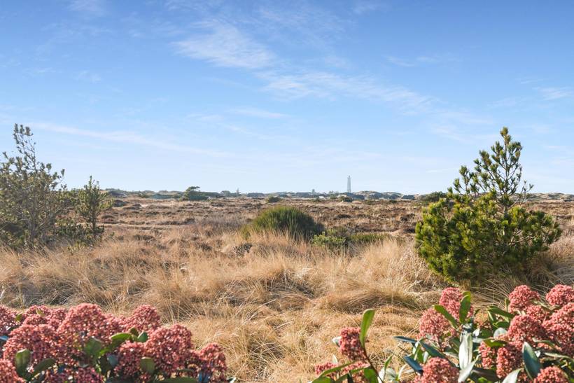 Foto von Ferienhaus DG13 in Blåvand - Westjütland