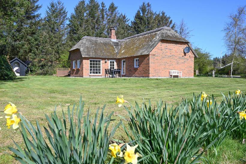 Foto von Ferienhaus DG16 in Fjand - Westjütland