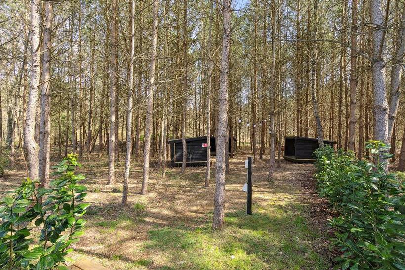 Foto von Ferienhaus DG21 in Fuglslev - Ebeltoft - Ostjütland