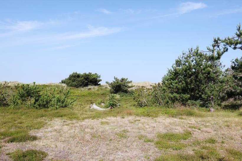 Foto von Ferienhaus DG91 in Sejerø Bugt - Westseeland