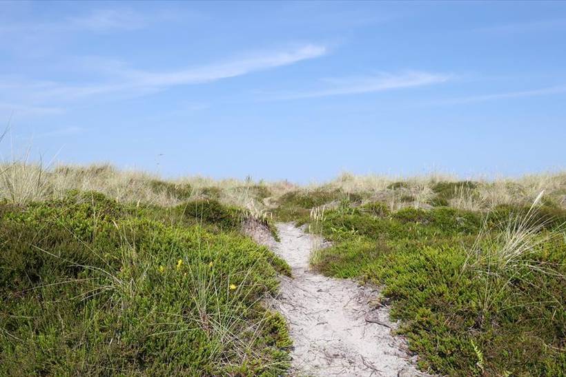Foto von Ferienhaus DG91 in Sejerø Bugt - Westseeland
