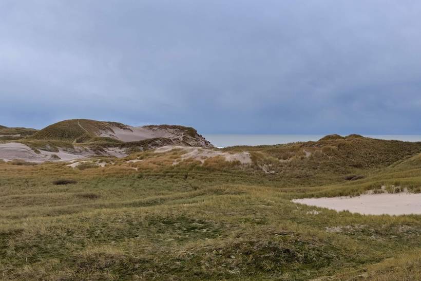 Foto von Ferienhaus DH09 in Fjand - Westjütland