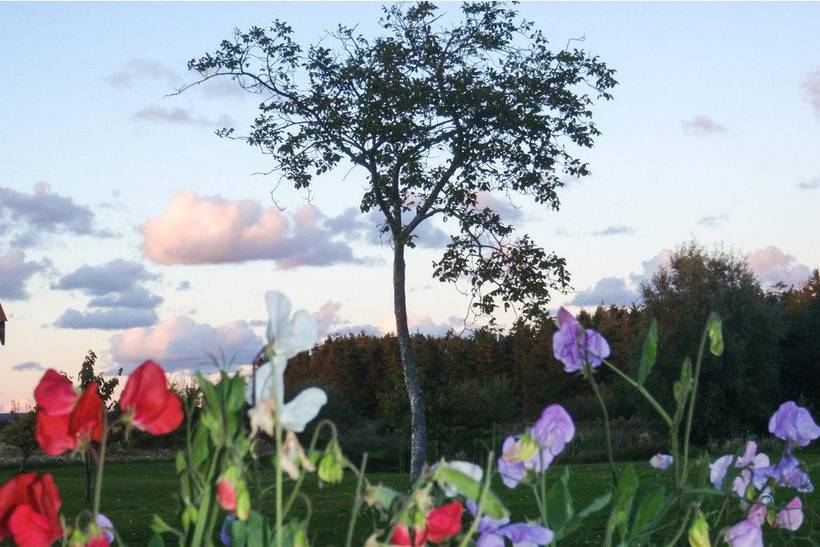 Foto von Ferienhaus DH20 in Dueodde - Bornholm