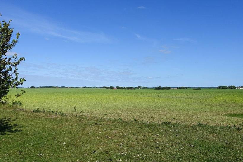 Foto von Ferienhaus DH20 in Dueodde - Bornholm