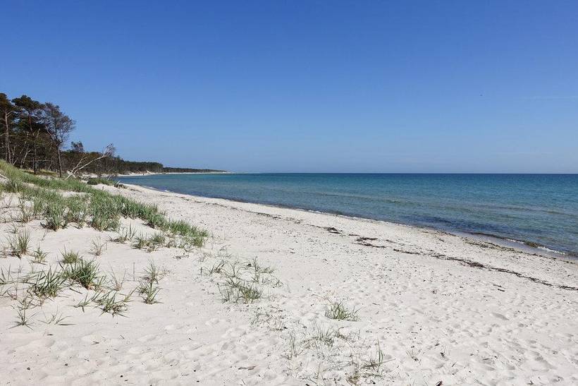 Foto von Ferienhaus DH20 in Dueodde - Bornholm