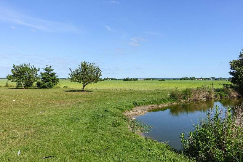Foto von Ferienhaus DH20 in Dueodde - Bornholm