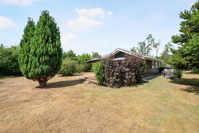 Foto von Ferienhaus DH31 in Elsegårde - Ebeltoft - Ostjütland