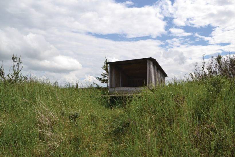 Foto von Ferienhaus DH37 in Kjul - Nordjütland