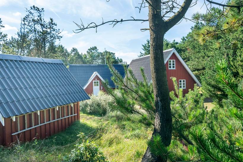 Foto von Ferienhaus DH65 in Vejers Strand - Westjütland